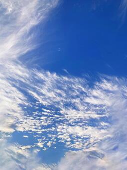 冬空 冬空,冬,ウインターの写真素材