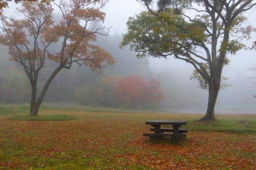 秋の公園の写真