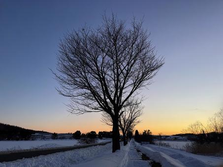 雪国の夕焼け 雪国の夕焼けの写真