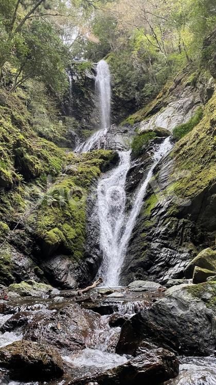 滝 自然,滝,山の写真素材