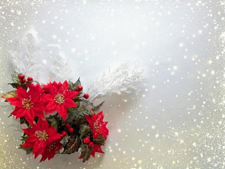 クリスマス（心温まるクリスマスを）3 クリスマス,ポインセチア,冬の写真素材