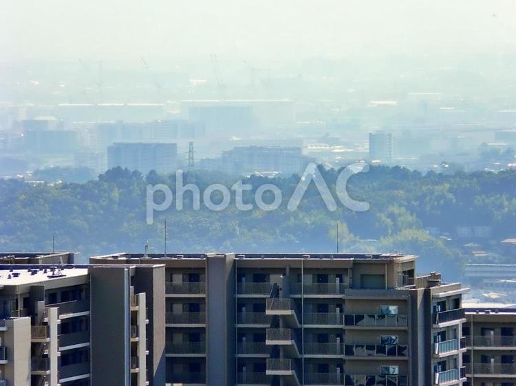 マンション群の向こうに霞む大阪市街地 霞む,彩都,マンション群の写真素材