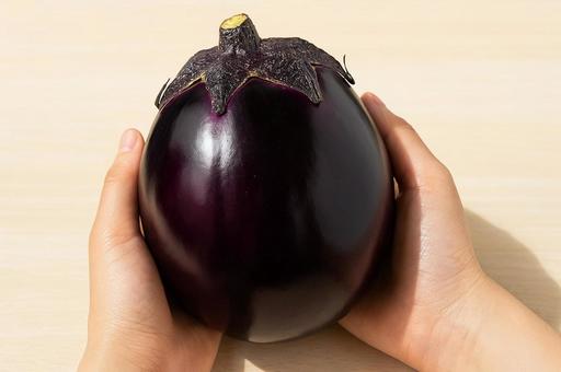 手に持つ賀茂茄子・なす・季節の夏野菜 手に持つ賀茂茄子・なす・季節の夏野菜の写真