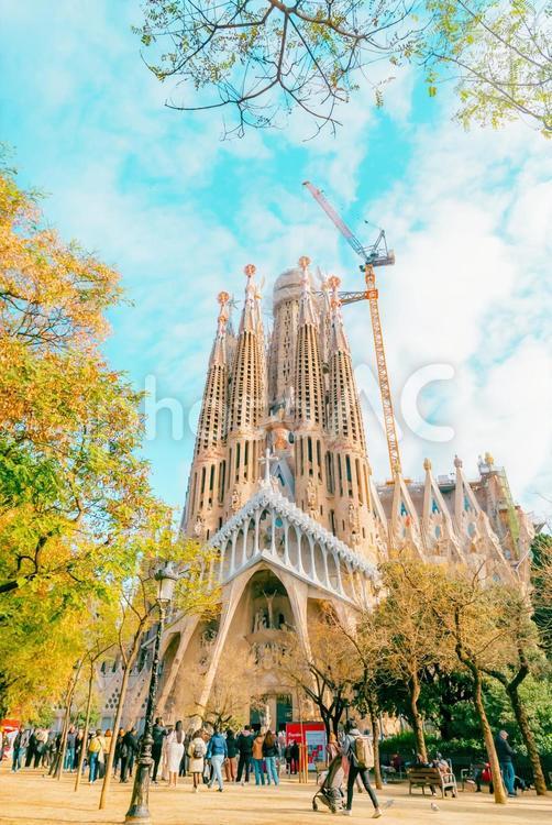 【スペイン】サクラダファミリア スペイン,バルセロナ,サクラダファミリアの写真素材