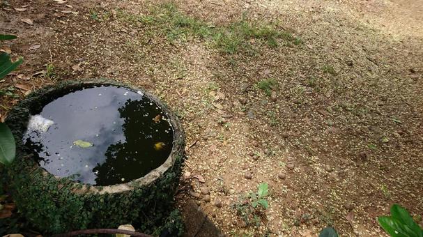 Photo, natural, water, old-fashioned, 