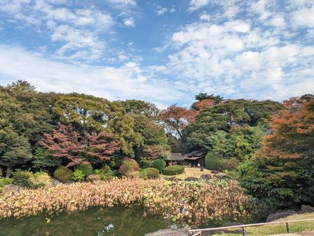 秋の東京国立博物館庭園 東京国立博物館,東京国立博物館庭園,秋の景色の写真素材