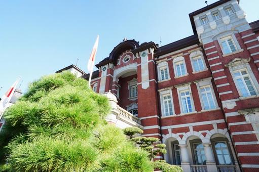 東京 東京駅丸の内駅前広場3 丸の内駅前広場,東京駅,松の写真素材
