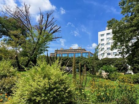 駒沢オリンピック公園 ジャブジャブ池付近 駒沢オリンピック公園 ジャブジャブ池付近 駒沢オリンピック公園,駒沢公園,オリンピックの写真素材