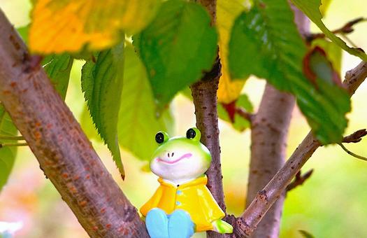 葉っぱとカエル カエル,木の葉,木の写真素材