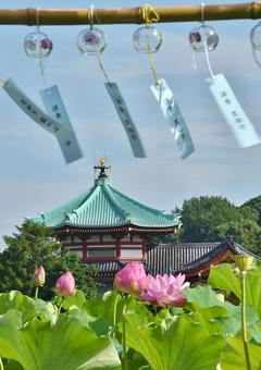 Ohga lotus of Shinobazu Pond, JPG