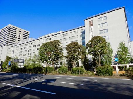 中央合同庁舎第1号館2 中央合同庁舎第1号館2 農林水産省,水産庁,林野庁の写真素材
