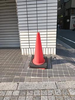 コーン コーンの写真