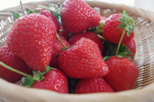 Photo, strawberry, staying at home, up, 