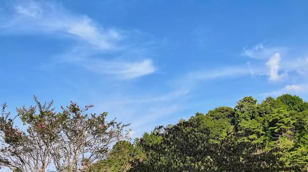 青空 青空の写真