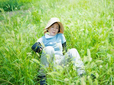 35:草むしりをする女性 35:草むしりをする女性 屋外作業,草刈り,雑草の写真素材