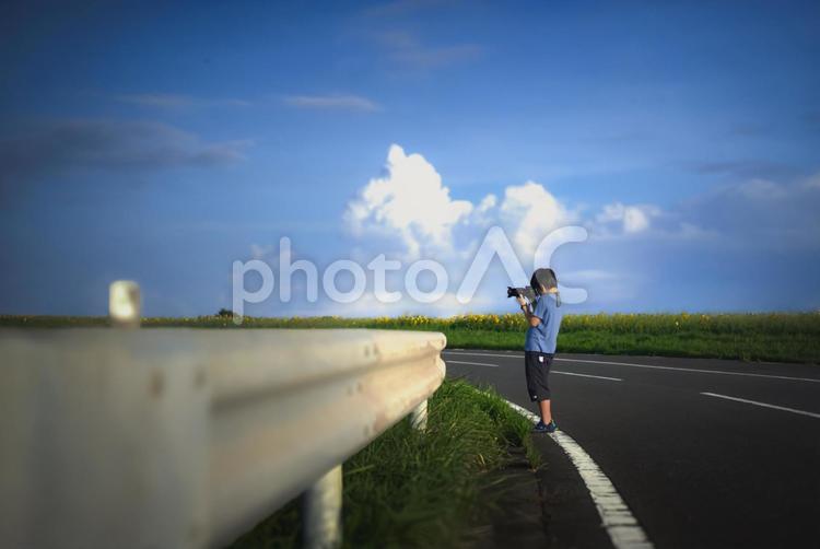 ＜素材＞宿題に夕暮れのひまわりを撮る少年 子供,青空,写真の写真素材