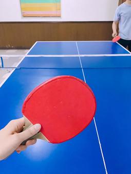 卓球 卓球,スポーツ,ラケットの写真素材