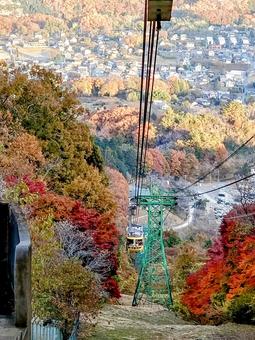 ロープウェイ 秋,もみじ,風景の写真素材