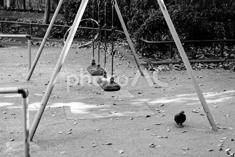 寂しげな公園風景 ブランコ,寂しい,公園の写真素材