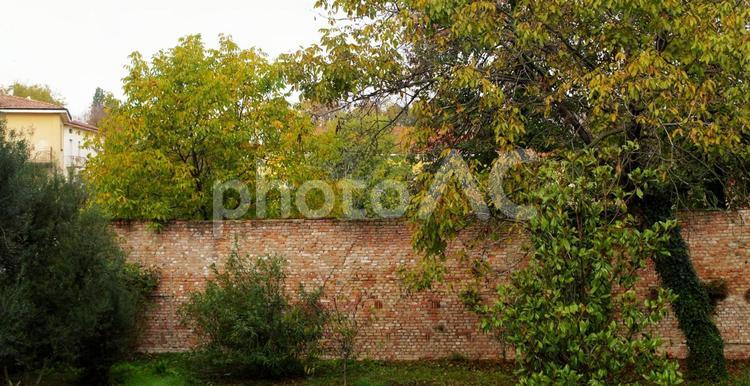 中世のレンガの壁　イタリア イタリア,レンガ,壁の写真素材