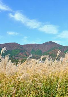 ススキと山と空 ススキ,仙石原,箱根の写真素材