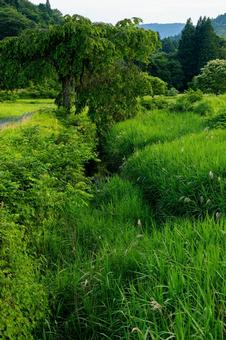 里の風景⑶ 里の風景⑶の写真