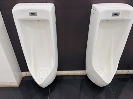 公衆トイレ トイレ,公衆トイレ,小便器の写真素材