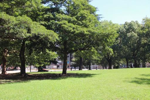 冷泉公園 冷泉公園の写真