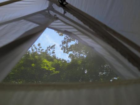 テントの中からの景色 テントの中からの景色 テント,外の景色,森の写真素材