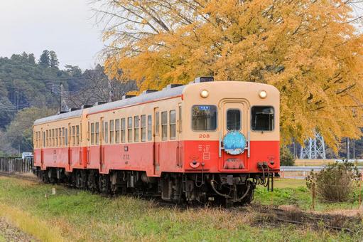 小湊鐵道 小湊鐵道,上総久保駅,銀杏の写真素材