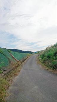 道-篠栗町 道-篠栗町の写真