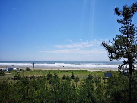 大洗 自然,空,木の写真素材