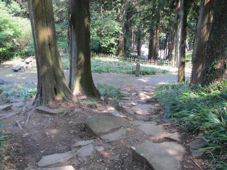 石垣山城　城跡の風景 石垣山城,石垣山一夜城,太閤一夜城の写真素材