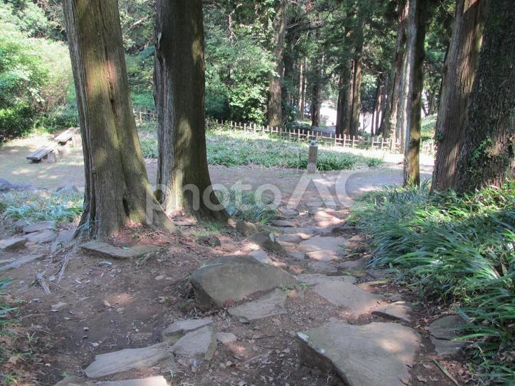 石垣山城　城跡の風景 石垣山城,石垣山一夜城,太閤一夜城の写真素材