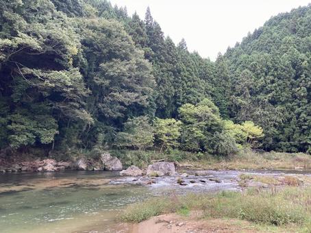 川辺の風景 川辺の風景の写真