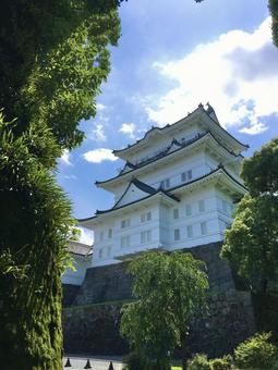 小田原城 小田原城 小田原城,城,名城の写真素材