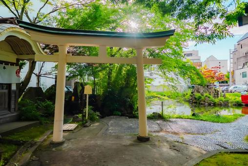 Photo, aomori, 2025, townscape, 
