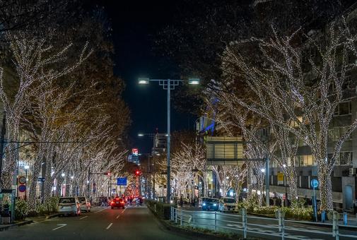 冬の表参道周辺の景色 冬の表参道周辺の景色 表参道,イルミネーション,ライトアップの写真素材