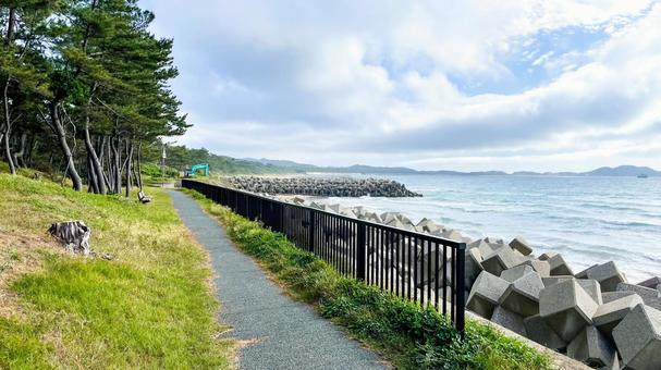 さつき松原の松林遊歩道 さつき松原の松林遊歩道 さつき松原,宗像市,遊歩道の写真素材