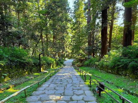 瑞峰殿石段 瑞峰殿石段,仙台藩,瑞峰殿の写真素材