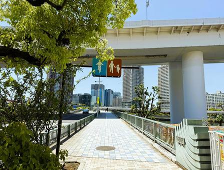 2025年春 昼間の東京江東区の風景 2025年春 昼間の東京江東区の風景 ベイエリア,ビル群,台場エリアの写真素材
