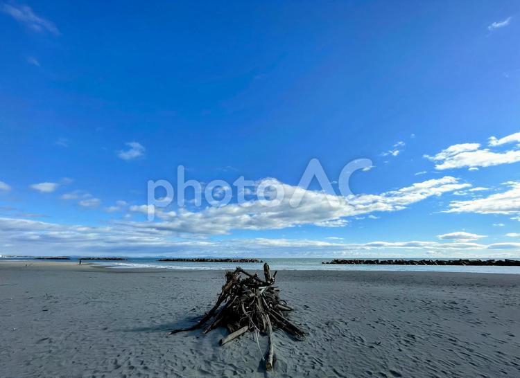 砂浜と流木 海,砂浜,波打ち際の写真素材