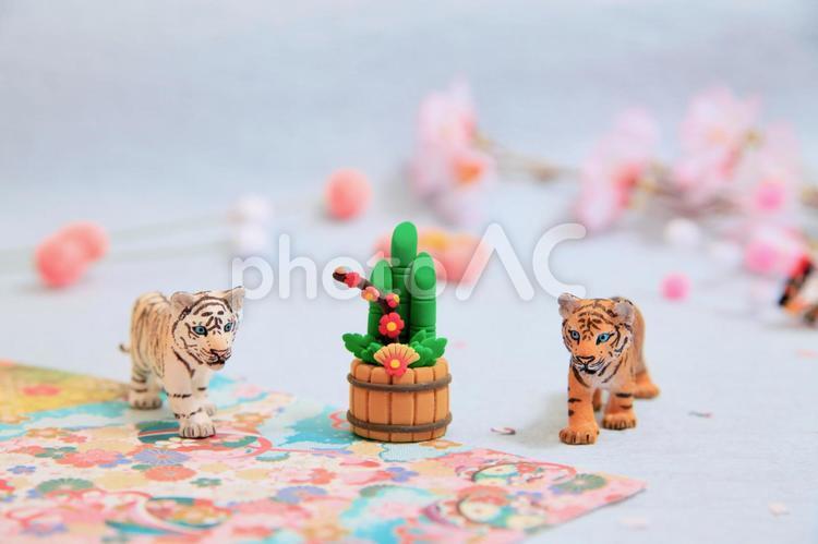 シュライヒフィギュア　2匹の虎と門松 虎,寅,フィギュアの写真素材