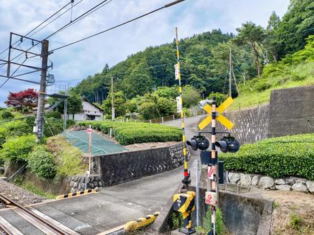 身延線「寄畑駅」ホームから見る線路と茶畑 身延線「寄畑駅」ホームから見る線路と茶畑 jr身延線,寄畑駅,ホームの写真素材