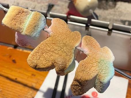 マレーシア、焼きマシュマロ串 マレーシア、焼きマシュマロ串 海外,マレーシア,デザートの写真素材