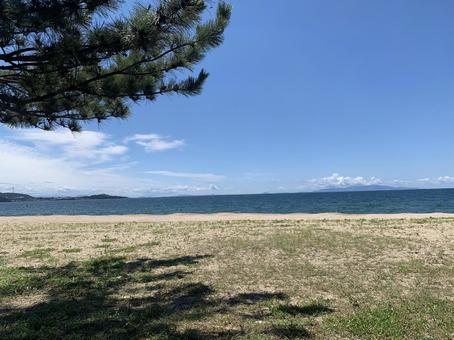 松の木陰から見る穏やかな浜辺 松の木陰から見る穏やかな浜辺 浜辺,青空,松の写真素材