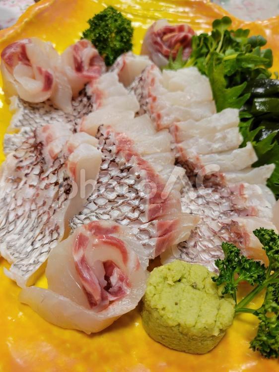 鯛のお刺身 鯛のお刺身,鯛,タイの刺身の写真素材