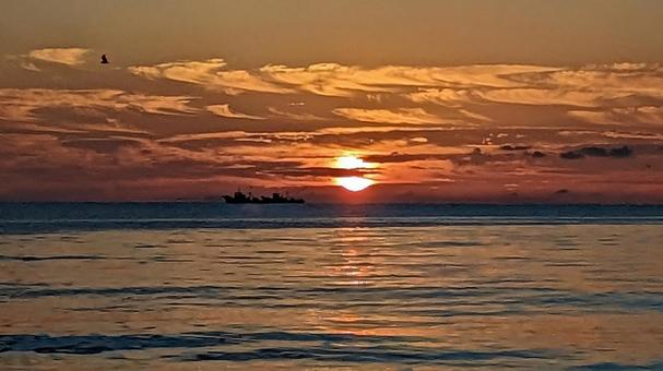 朝日がキレイ 朝日がキレイの写真