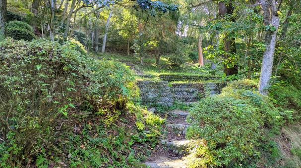 陽だまりの小径 秋,自然,里山の写真素材