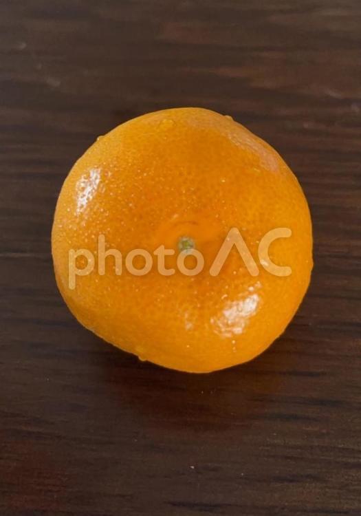 R7.06.23　マーコットみかん マーコットみかん,みかん,果物の写真素材